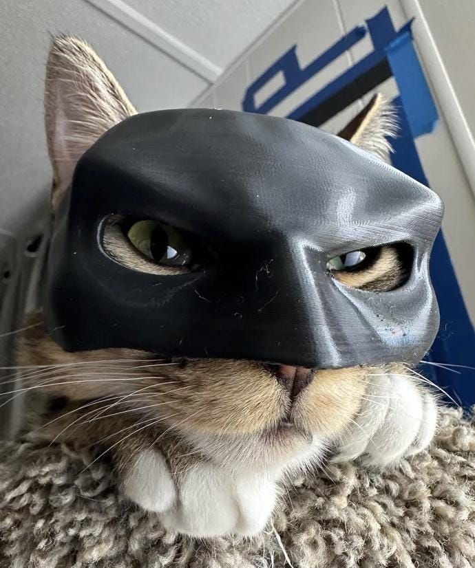 Matte Black Bat Pet Mask