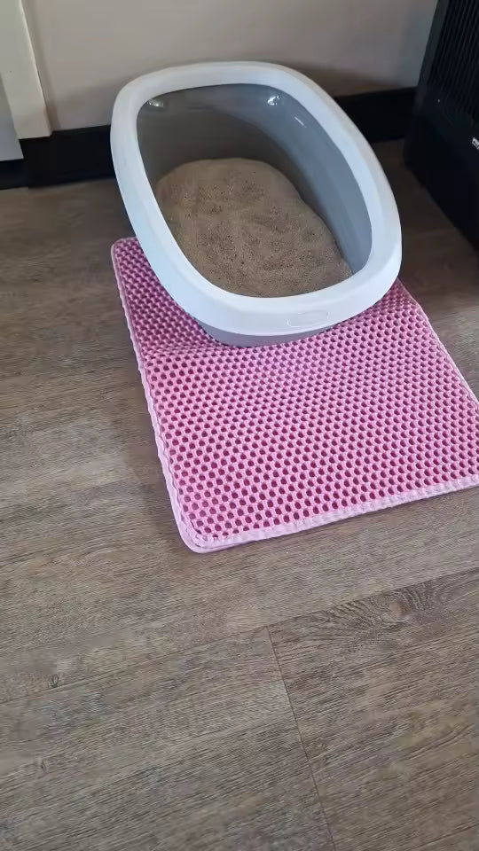 Large Double-Layer Cat Litter Mat