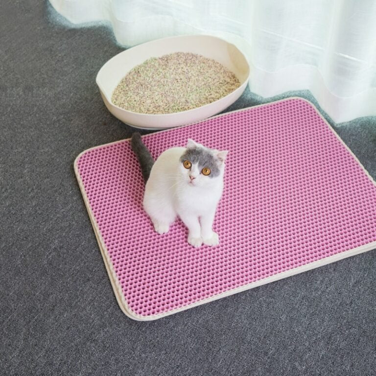 Large Double-Layer Cat Litter Mat