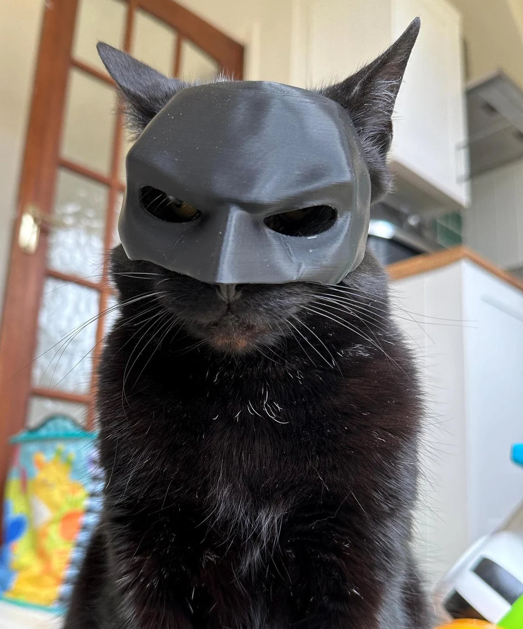 Matte Black Bat Pet Mask