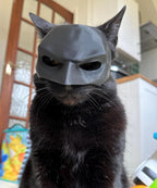Matte Black Bat Pet Mask