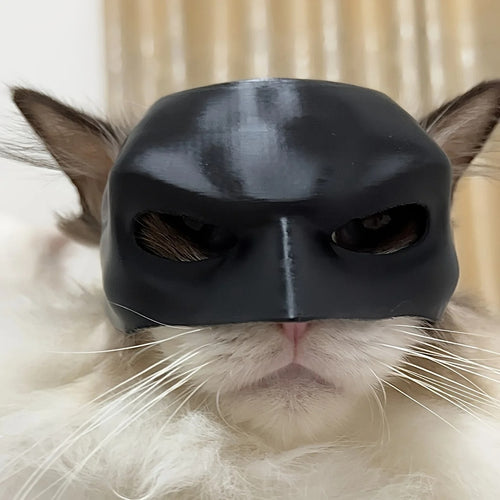 Matte Black Bat Pet Mask